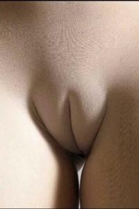 Крупный план №8 photo #13
